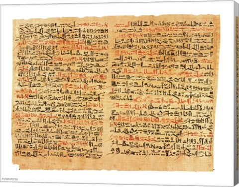 Edwin Smith Papyrus