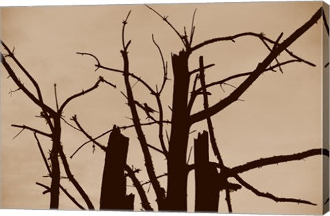Perched and Sat and Nothing More II by Delaney Flanders