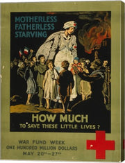 How Much to Save These Lives War Fund Week