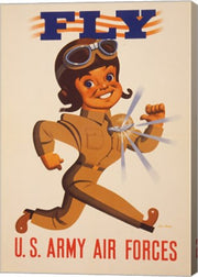 Fly U.S. Army Air Forces