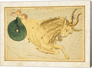 Capricornus Zodiac Sign