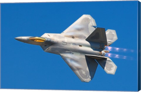 Lockheed Martin F-22A Raptor JSOH