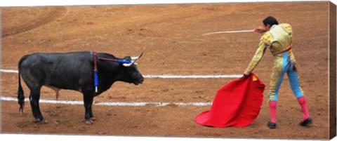 Bull and Matador Stand Off