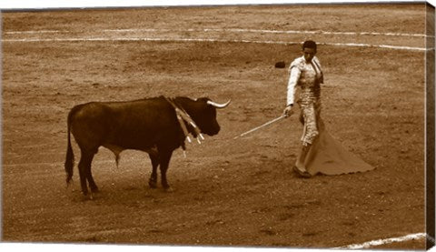 Matador and Bull