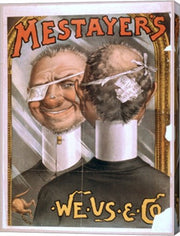 Mestayer's