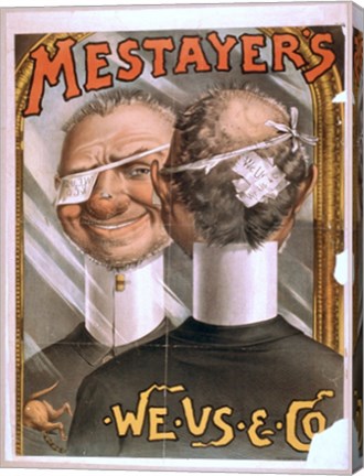 Mestayer's