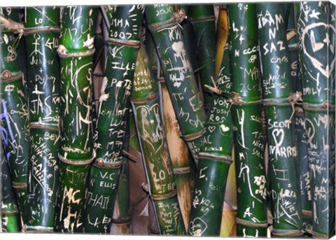 Bamboo Graffiti