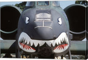 Flying Tigers II