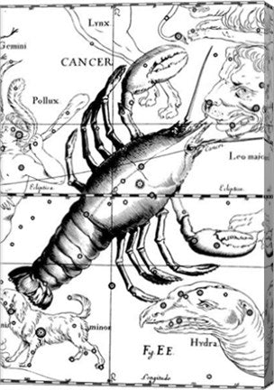 Cancer Hevelius