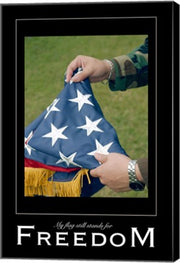 Freedom Affirmation Poster, USAF