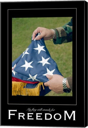 Freedom Affirmation Poster, USAF