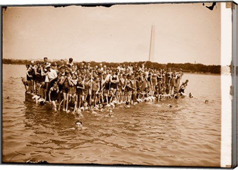 Hawaiian Swimmers at Potomac Tidal Basin