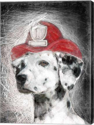 Firefighter Dalmation