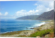 Kaena Hawaii