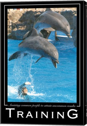 Training Affirmation Poster, USAF