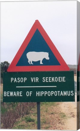 Beware of Hippopotamus