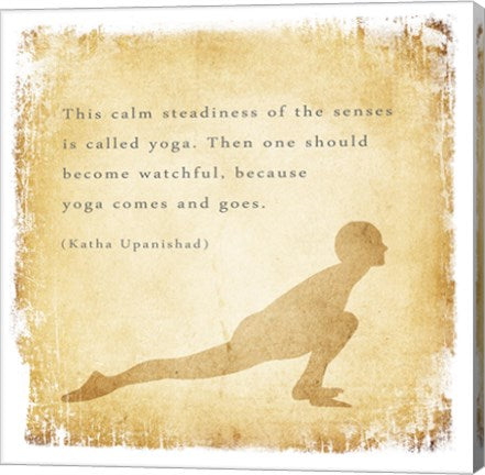 Calm Steadiness of the Senses