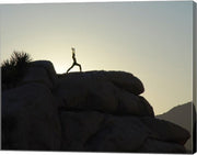Joshua Tree - Yoga Warrior