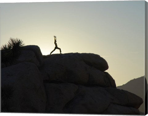 Joshua Tree - Yoga Warrior