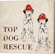 Top Dog Rescue