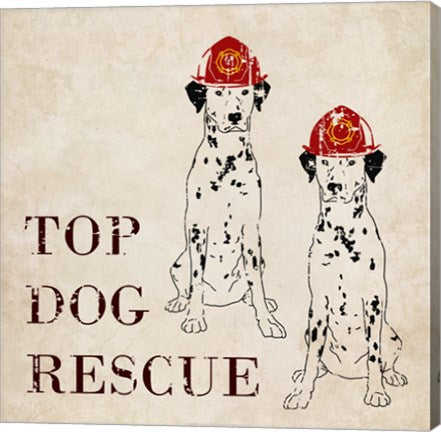 Top Dog Rescue