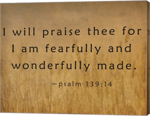 I Will Praise Thee