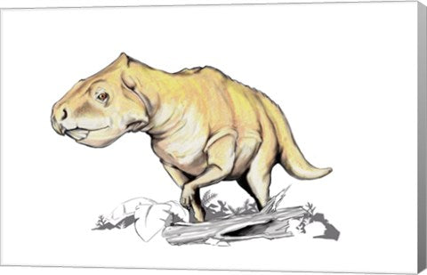 Prenoceratops