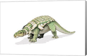 Edmontonia