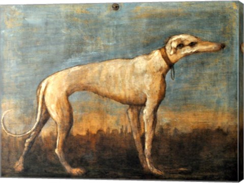 Greyhound, Giandomenico Tiepolo