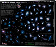 Lifestyles of the Galaxies Next Door