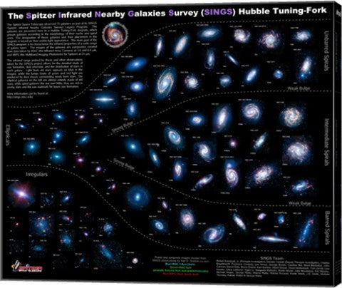 Lifestyles of the Galaxies Next Door