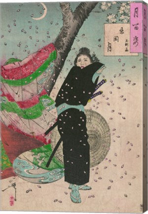 Lady Samurai