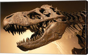 Palais de la Decouverte Tyrannosaurus Rex