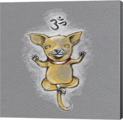 Enlightened Chihuahua