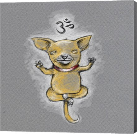 Enlightened Chihuahua