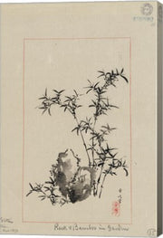 Rock and Bamboo in Garden