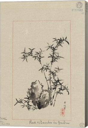 Rock and Bamboo in Garden
