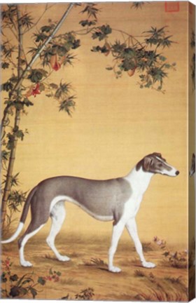 Greyhound by Bamboo