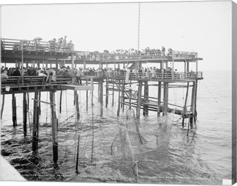 Hauling the Nets, Young's Pier, Atlantic City, NJ