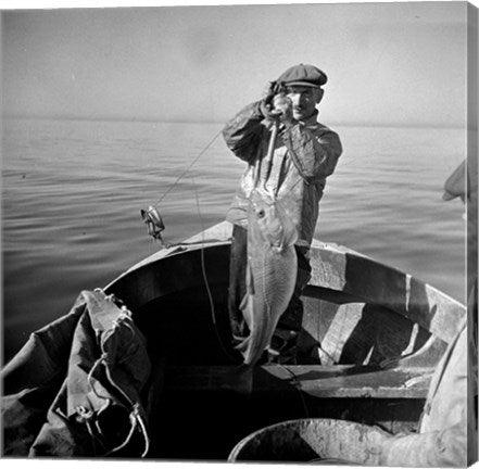 Hauling in a cod aboard a Portuguese fishing dory off Cape Cod, Massachusetts