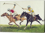 Polo action