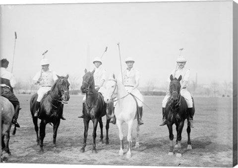 Polo photo