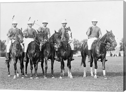 POLOARMY POLO