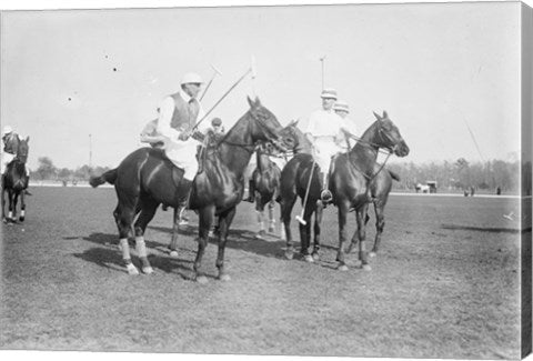 Polo Brown Lieut Palmes