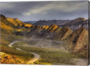 Cockscomb cottonwood