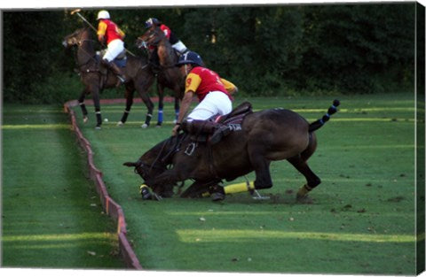 Polo - red and yellow