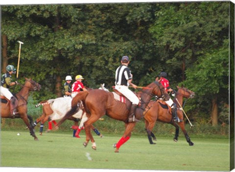 Polo Umpire