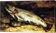 Gustave Courbet - The Trout