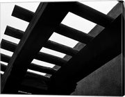 Desert Days by Rob Sturcke