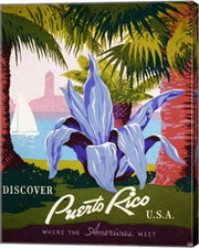 Discover Puerto Rico